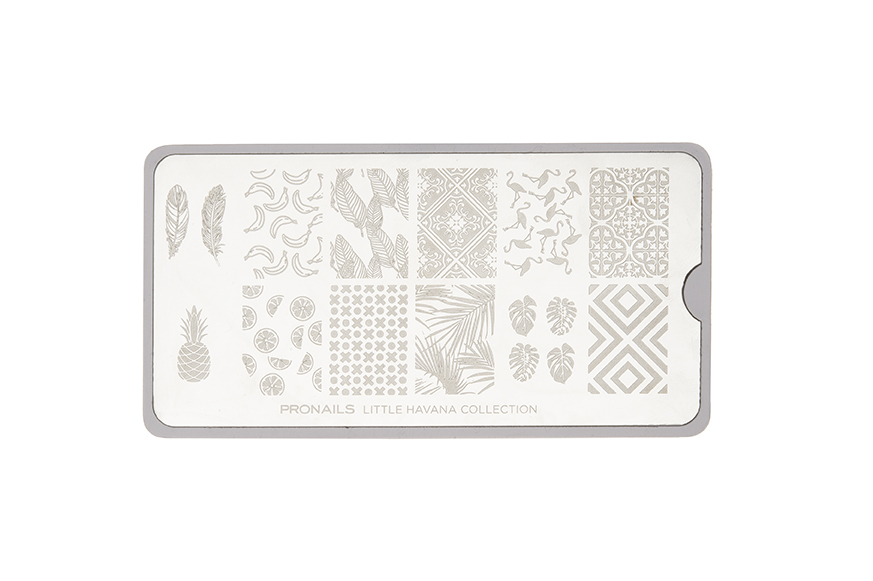 PN Kit Estampacion Little Havana (placa) hasta fin de existencias