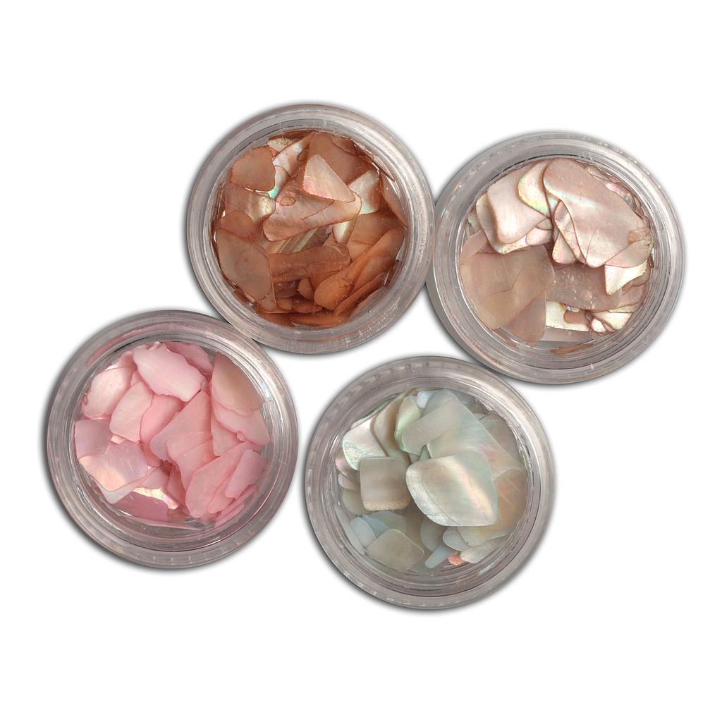 PN Copos Seashell - 4 colores